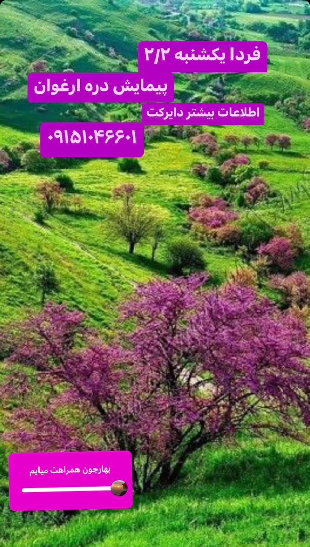 برنامه‌ریزی دقیق و منظم