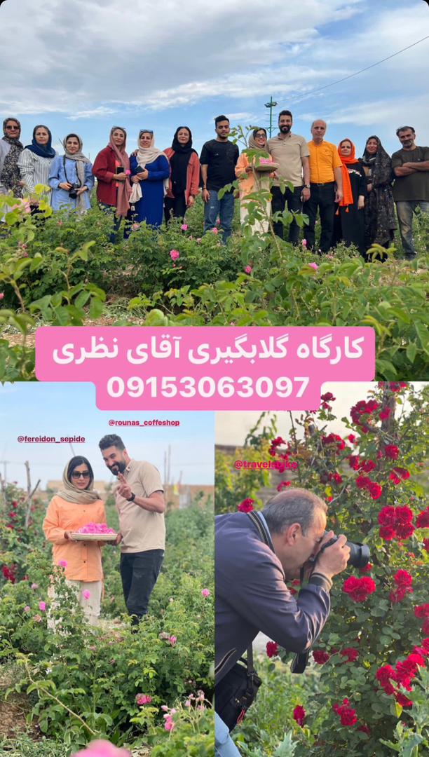 انتخاب هتل‌ها